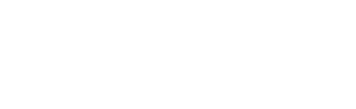 Instituto Nacional Electoral